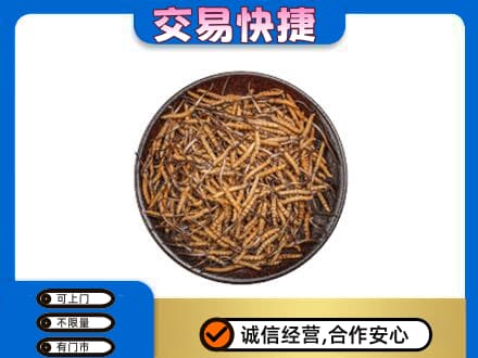 齐齐哈尔碾子山回收散虫草